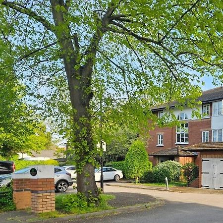 Lovely Flat Close To Shepherd'S Bush Apartment London Exterior photo